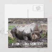 Carte postale Sulking Rhino (Devant / Derrière)