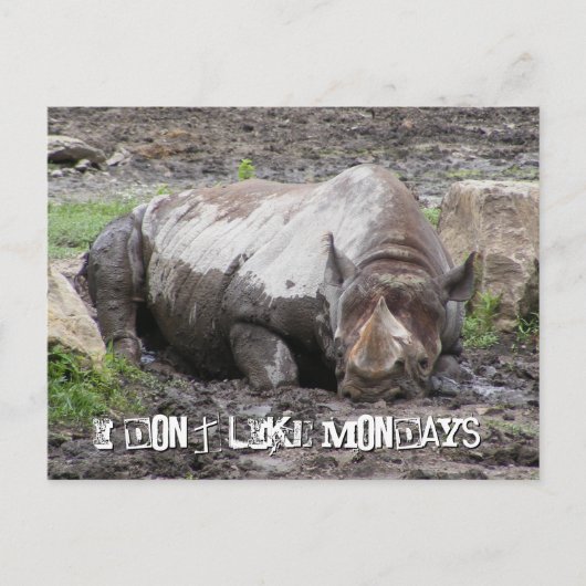 Carte postale Sulking Rhino (Devant)