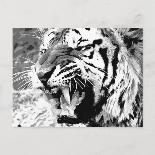 Carte Postale Sumatran Tiger (Devant)