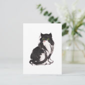 Carte Postale Sume de chat noir et blanc (Debout devant)