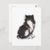 Carte Postale Sume de chat noir et blanc (Devant / Derrière)