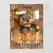 Carte Postale Sumfines Yorkie (Devant)