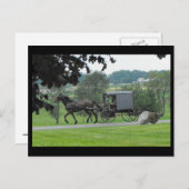 Carte Postale Summer dans le comté de Lancaster 71 (Devant / Derrière)