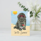 Carte postale Summer Newfoundland (Debout devant)