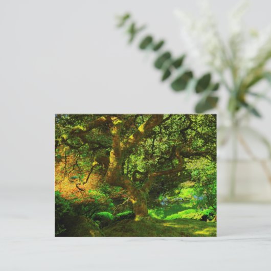 Carte Postale Summer, Portland Japanese Garden, Portland (Debout devant)