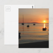 Carte Postale Summer Sunset à Novalja, Croatia (Devant / Derrière)