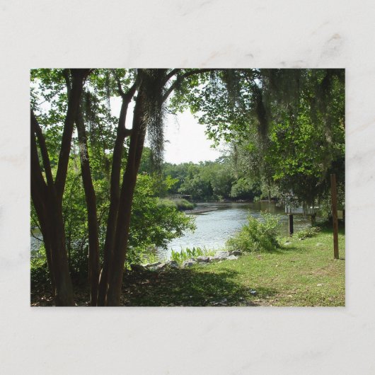 Carte Postale Summerville, SC (Devant)