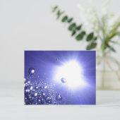 Carte postale Sun Bust (Debout devant)