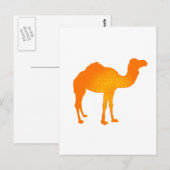 Carte Postale Sun Camel (Devant / Derrière)