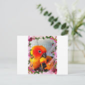 Carte Postale Sun Conure (Debout devant)