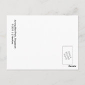 Carte Postale Sun Conure Bird (Dos)