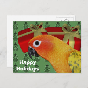 Carte postale Sun Conure Parrot Christmas Holiday
