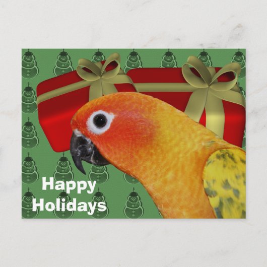 Carte postale Sun Conure Parrot Christmas Holiday (Devant)