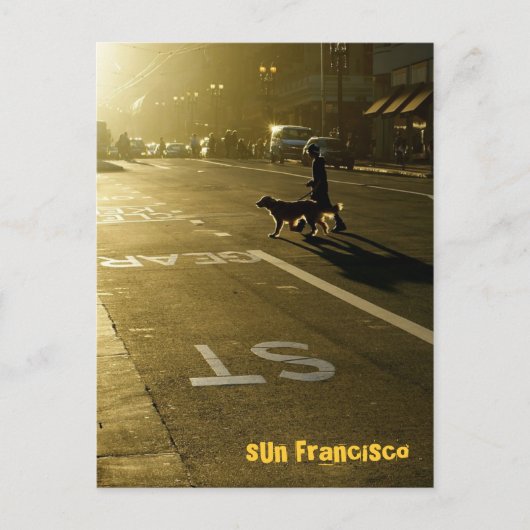 Carte Postale SUN Francisco - 10 (Devant)