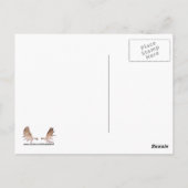 Carte Postale Sun Polo de minuit (Dos)