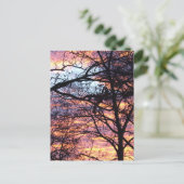 Carte Postale Sun Rise (Debout devant)