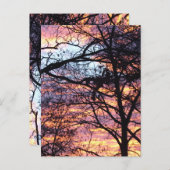 Carte Postale Sun Rise (Devant / Derrière)