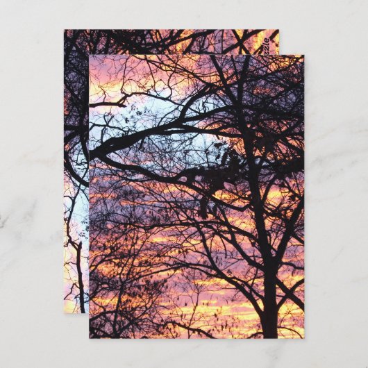 Carte Postale Sun Rise (Devant / Derrière)