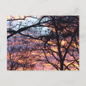 Carte Postale Sun Rise (Dos)