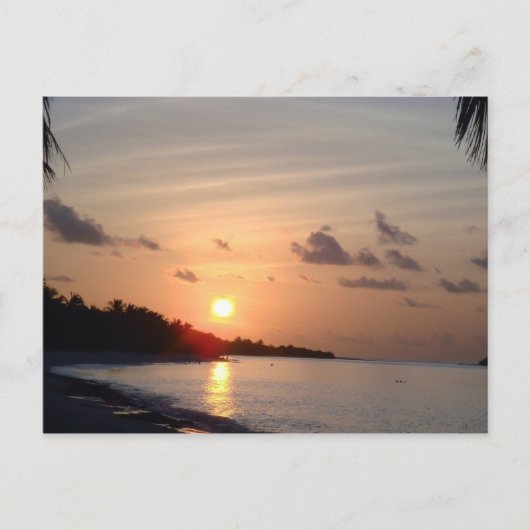 Carte postale Sun Set (Devant)