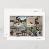 Carte Postale Sun Valley, IDRodeo Bull Dogging (Devant / Derrière)