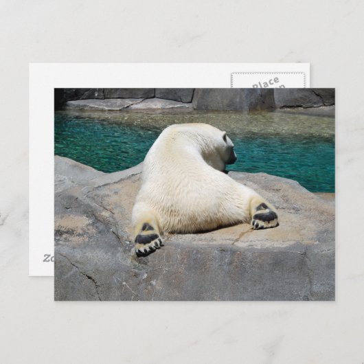 Carte Postale Sunbine (Devant / Derrière)