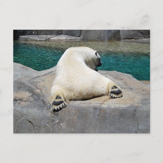 Carte Postale Sunbine (Devant)