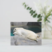 Carte Postale Sunbine aussi (Debout devant)