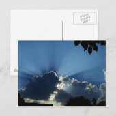 Carte Postale Sunburst (Devant / Derrière)