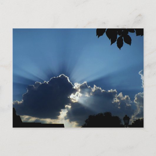 Carte Postale Sunburst (Devant)