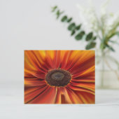 Carte Postale Sunburst (Debout devant)