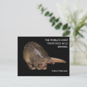 Carte postale Sunda Pangolin personnalisable (Debout devant)