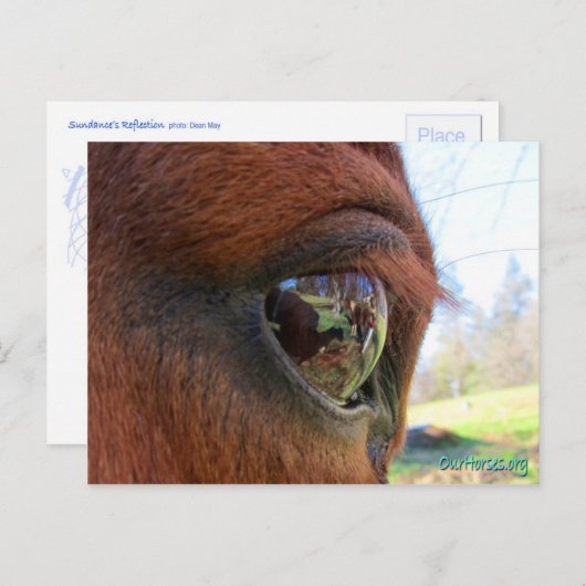 Carte postale Sundance (Devant / Derrière)