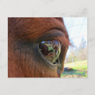 Carte postale Sundance