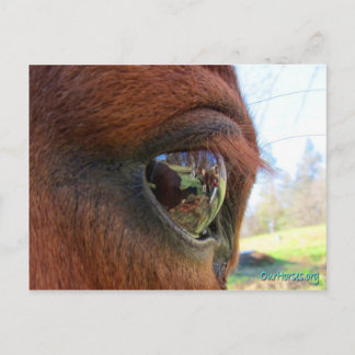 Carte postale Sundance