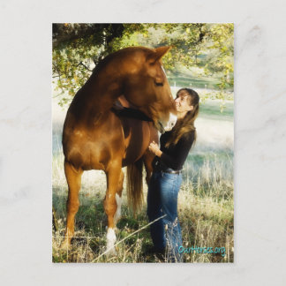 Carte postale Sundance Stormy