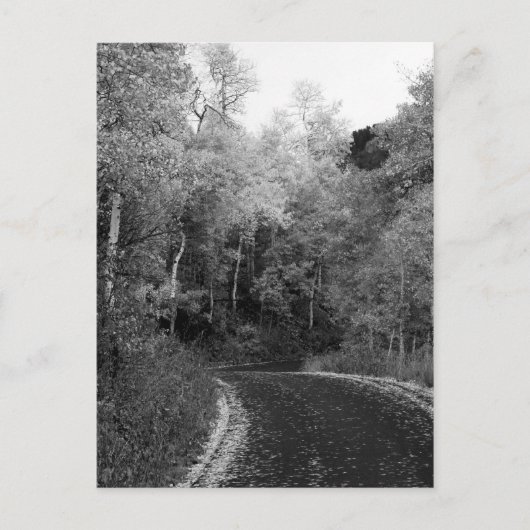 Carte Postale Sundance, Utah (Devant)