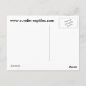 Carte Postale Sundin Ball Pythons (Dos)