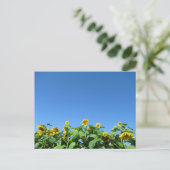 Carte Postale Sunfleurs d'été (Debout devant)