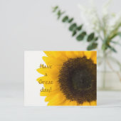 Carte postale Sunflower (Debout devant)