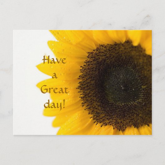 Carte postale Sunflower (Devant)