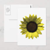 Carte postale Sunflower (Devant / Derrière)