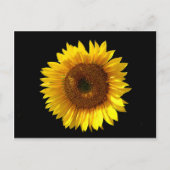 Carte postale Sunflower (Devant)