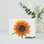 Carte postale Sunflower (Debout devant)