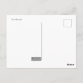 Carte postale Sunflower (Dos)