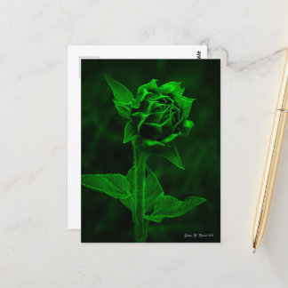 Carte Postale "Sunflower Bud"