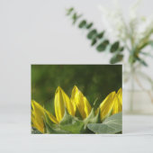Carte postale Sunflower do-it-yourself (Debout devant)