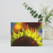 Carte postale Sunflower Dreams (Debout devant)