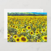 Carte Postale Sunflower Field Vincent Van Gogh (Devant / Derrière)