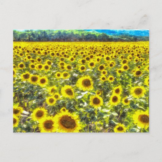 Carte Postale Sunflower Field Vincent Van Gogh (Devant)
